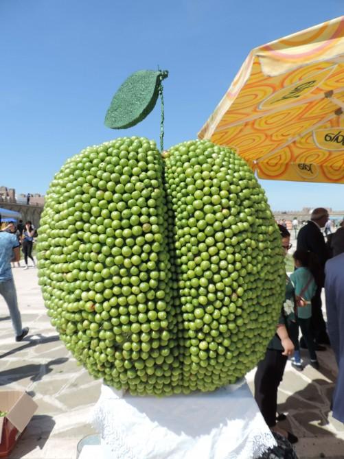 В Нахчыване проходит Фестиваль алычи гёйче (ФОТО)