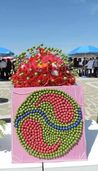 В Нахчыване проходит Фестиваль алычи гёйче (ФОТО)