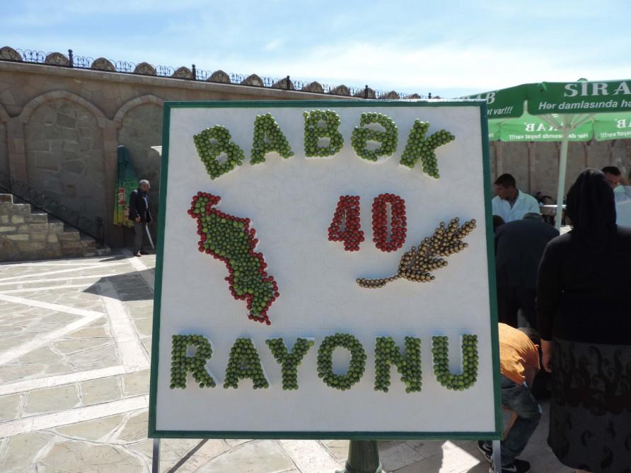 В Нахчыване проходит Фестиваль алычи гёйче (ФОТО)
