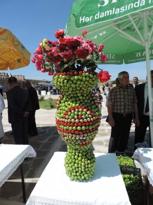 В Нахчыване проходит Фестиваль алычи гёйче (ФОТО)