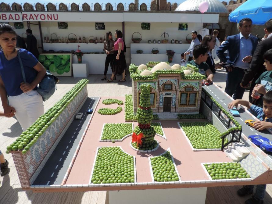 В Нахчыване проходит Фестиваль алычи гёйче (ФОТО)