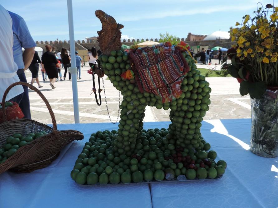 В Нахчыване проходит Фестиваль алычи гёйче (ФОТО)
