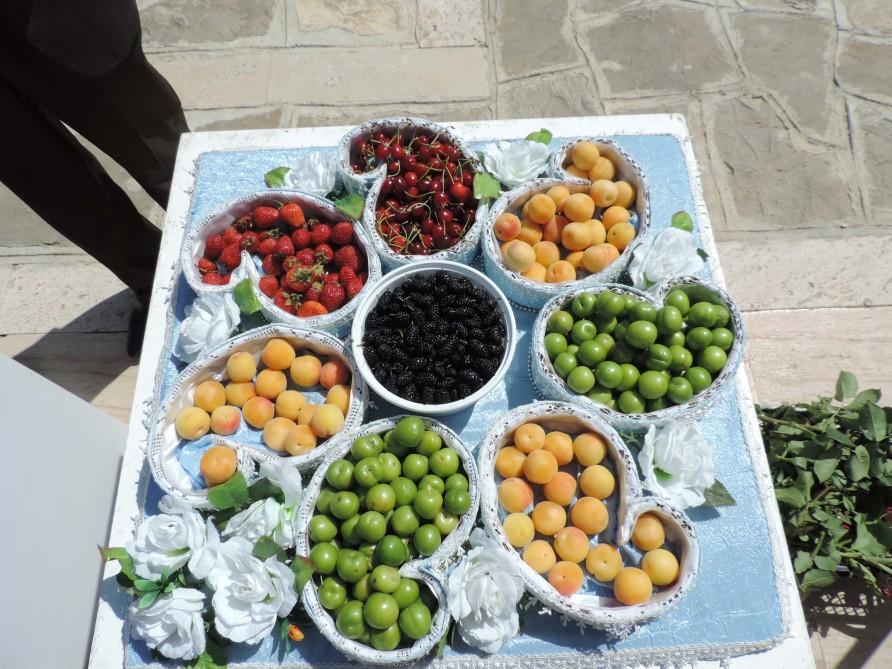 В Нахчыване проходит Фестиваль алычи гёйче (ФОТО)