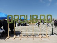 В Нахчыване проходит Фестиваль алычи гёйче (ФОТО)