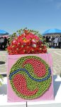 В Нахчыване проходит Фестиваль алычи гёйче (ФОТО)