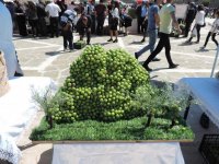 В Нахчыване проходит Фестиваль алычи гёйче (ФОТО)