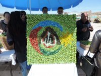 В Нахчыване проходит Фестиваль алычи гёйче (ФОТО)