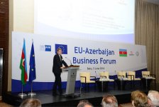 Инвестиции ЕС в Азербайджан за последние 5 лет превысили $15 млрд - замминистра (ФОТО)