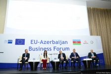 Инвестиции ЕС в Азербайджан за последние 5 лет превысили $15 млрд - замминистра (ФОТО)