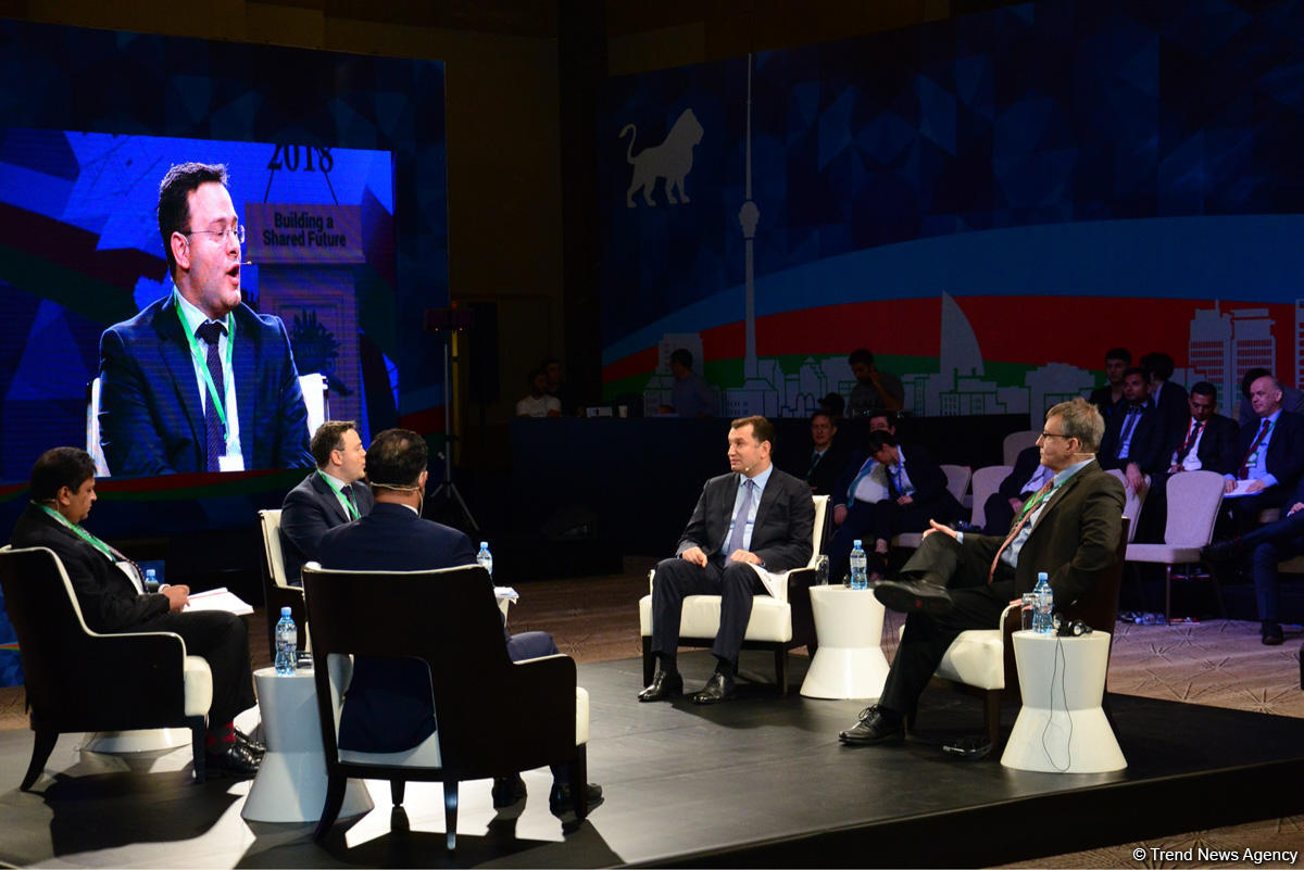 Azerbaijan to continue diversification of economy (PHOTO)