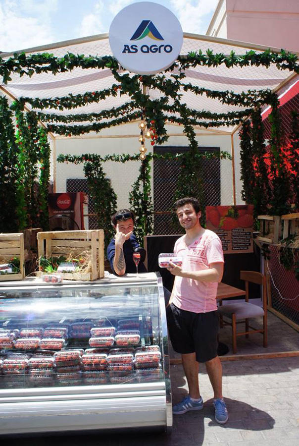 Новый сезон фестиваля Baku Summer Food Fest подходит к концу (ФОТО)