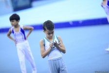 Стартовал второй день соревнований Первенства Азербайджана и Чемпионата Баку по спортивной гимнастике (ФОТО)