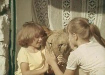 В Баку скончалась владелица львов: фильмы - "Невероятные приключения итальянцев в России", "Лев ушел из дома"  (ФОТО)