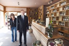President Ilham Aliyev, first lady Mehriban Aliyeva attend opening of vine-growing and wine-making complex of Shirvan wines LLC in Shamakhi district (PHOTO)