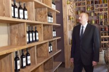 President Ilham Aliyev, first lady Mehriban Aliyeva attend opening of vine-growing and wine-making complex of Shirvan wines LLC in Shamakhi district (PHOTO)
