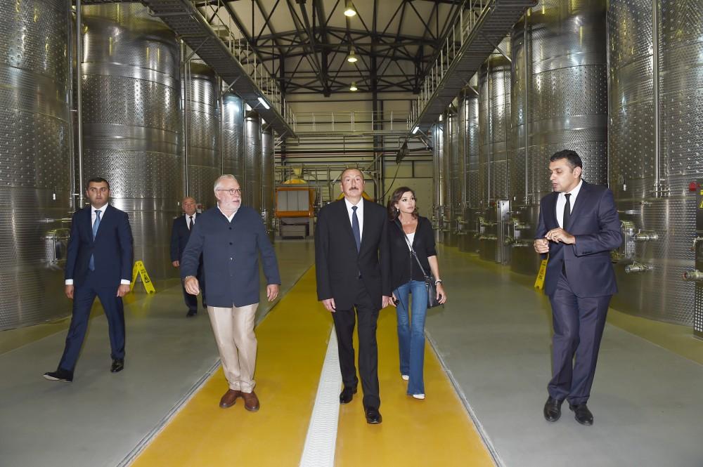 President Ilham Aliyev, first lady Mehriban Aliyeva attend opening of vine-growing and wine-making complex of Shirvan wines LLC in Shamakhi district (PHOTO)