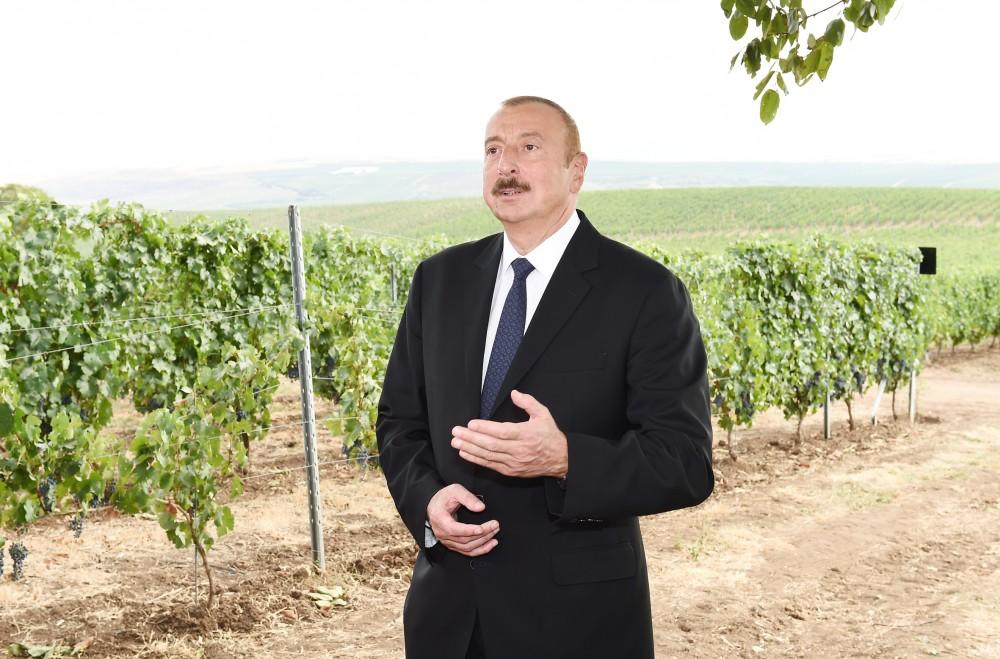 President Aliyev: Every newborn should have workplace in the future, this will be achieved by expanding agriculture