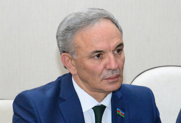 Резолюция Европарламента является очередным примером неприязни к Азербайджану - Афлатун Амашев