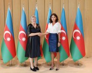 First VP Mehriban Aliyeva: Azerbaijan's territorial integrity must be restored, refugees must return to their homeland, only then peace will be established in region (PHOTO)