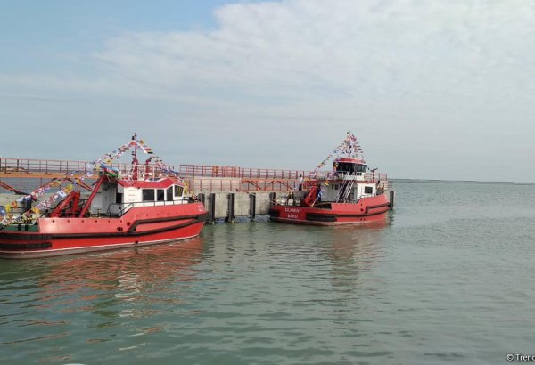 В мире растут заказы на строительство морских буксиров