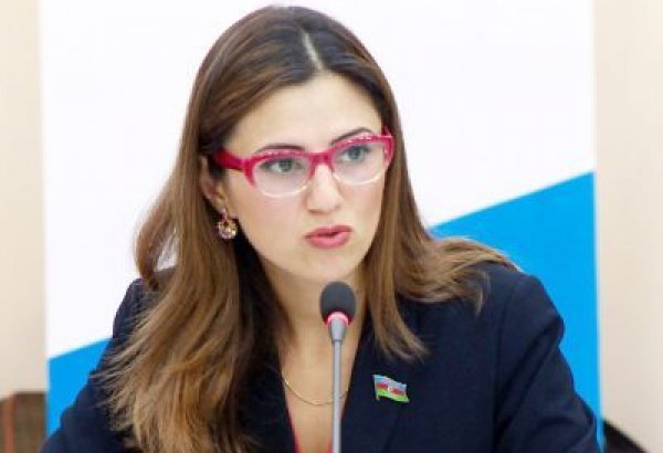 Севиндж Фаталиева: В Азербайджане нет ни одной сферы деятельности закрытой для женщин