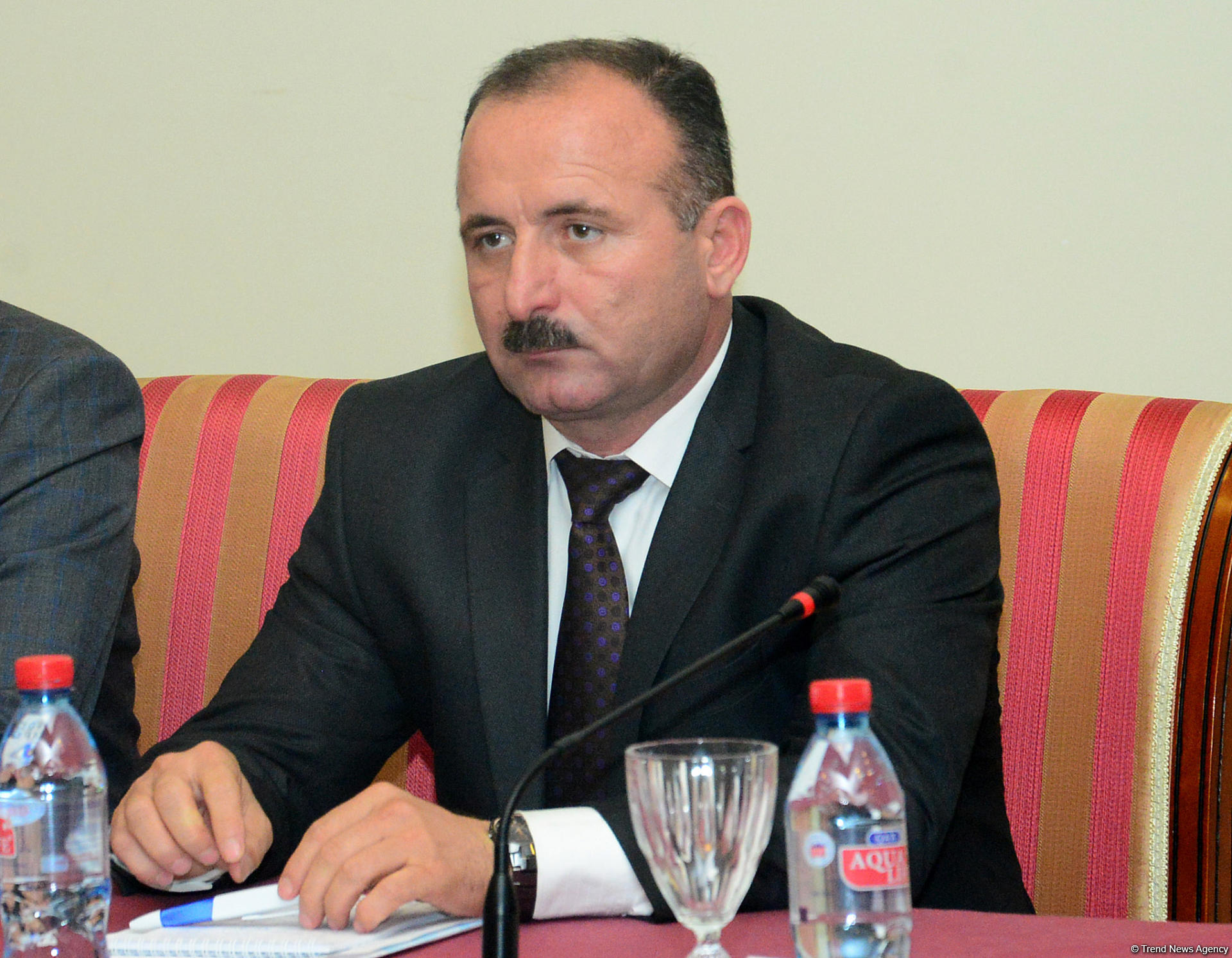 WEF report shows Azerbaijani development policy has no alternative: expert