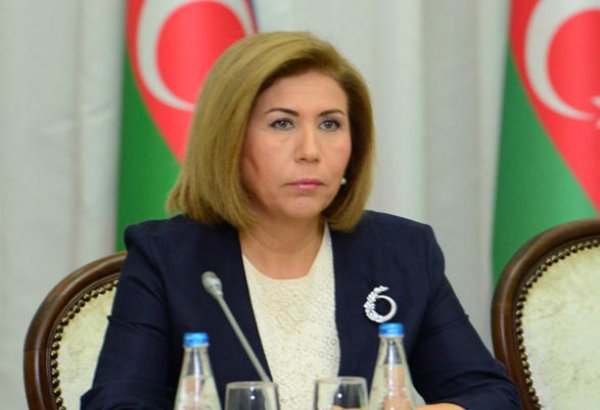 Вице-спикер: Сотрудничество Азербайджана в сфере защиты прав человека является примером для других стран