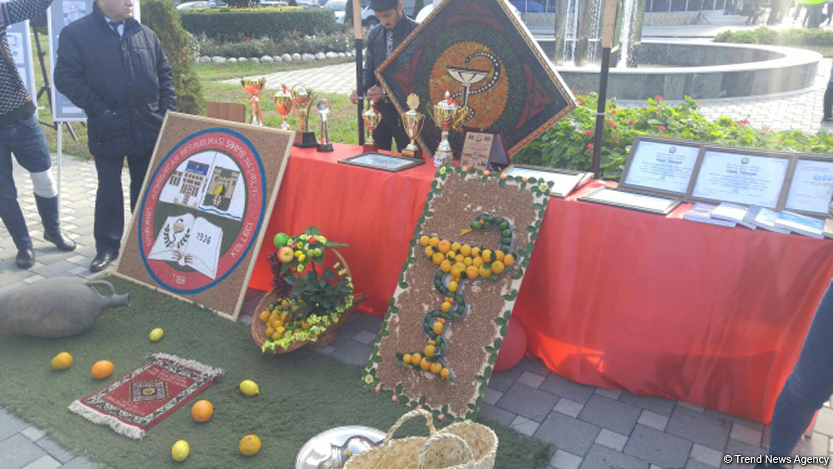 В Лянкяране проходит Фестиваль чая, чалтыка и цитрусовых (ФОТО)