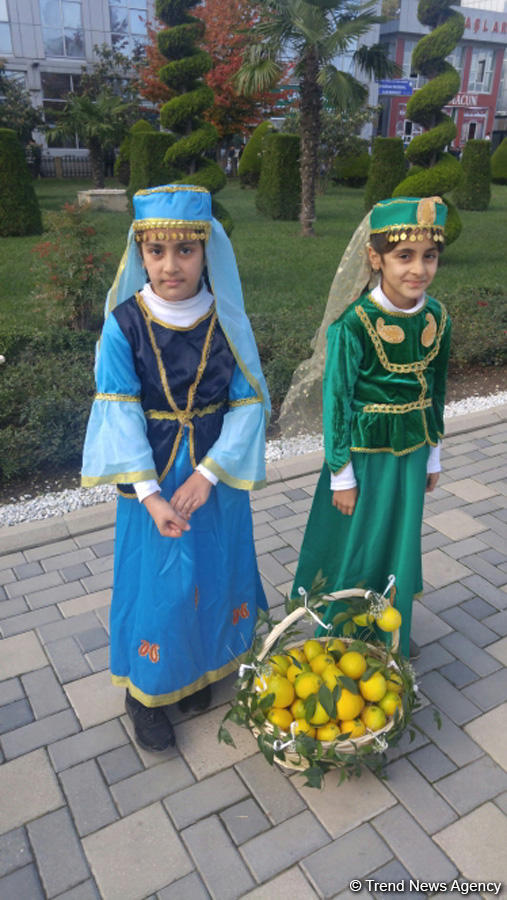 В Лянкяране проходит Фестиваль чая, чалтыка и цитрусовых (ФОТО)