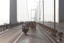 Азербайджанка пробежала по Босфорскому мосту из Азии в Европу, установив рекорд  (ФОТО)