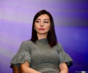 В Баку проходит международная конференция по незаконной деятельности на оккупированных территориях Азербайджана (ФОТО)