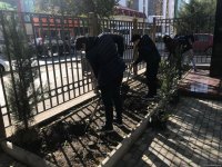 Воспитанники детсада и школьники посадили около 110 деревьев в Баку (ФОТО)