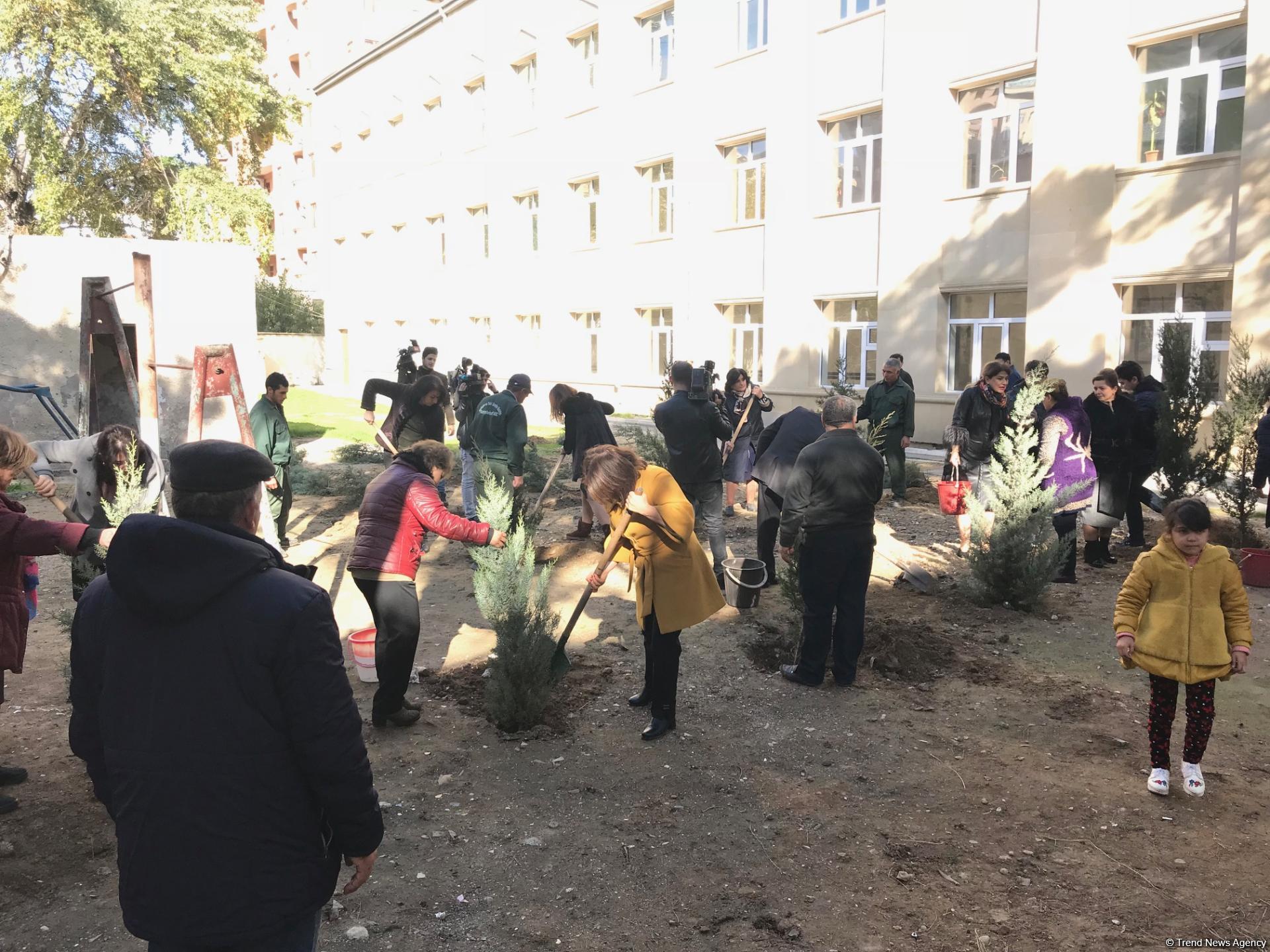 Воспитанники детсада и школьники посадили около 110 деревьев в Баку (ФОТО)