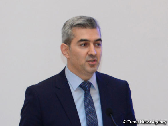 Использование территории Азербайджана для нелегальной миграции маловероятно - Вусал Гусейнов
