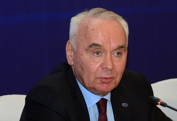Во время председательства Азербайджана в ОЧЭС была укреплена связность внутри организации - замминистра