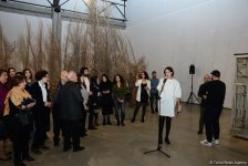 YARAT представил выставку грузинского художника Важико Чачхиани "Мухи кусаются к дождю" (ФОТО)