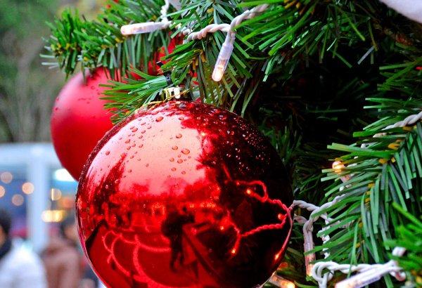 New Year wishes from TREND News Agency