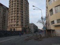 Сильный ветер в Баку повредил 16 деревьев (ФОТО)