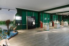 Ilham Aliyev attends opening of History and Local Lore Museum in Beylagan (PHOTO)