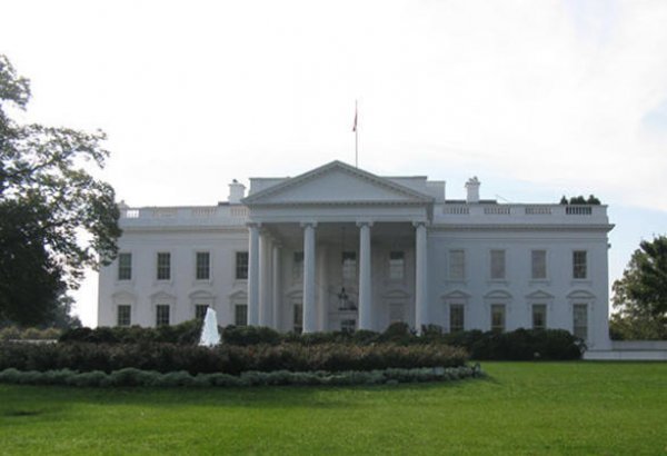 Белый дом перенес встречу Курца и Трампа из-за коронавируса