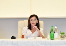 Президент Ильхам Алиев и Первая леди Мехрибан Алиева встретились с группой деятелей культуры и искусства (ФОТО) (версия 3)
