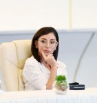 Президент Ильхам Алиев и Первая леди Мехрибан Алиева встретились с группой деятелей культуры и искусства (ФОТО) (версия 3)