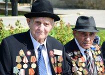 Азербайджанская общественность отмечает 74-ю годовщину Победы над фашизмом (ФОТО)