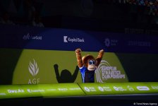 Улыбки, позитив и хорошее настроение на Чемпионате Европы по художественной гимнастике в Баку (ФОТО)