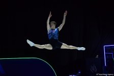 Лучшие моменты финальных соревнований 11-го Чемпионата Европы по аэробной гимнастике в Баку (ФОТО)