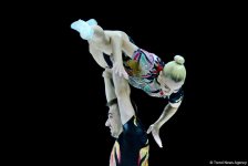 Лучшие моменты финальных соревнований 11-го Чемпионата Европы по аэробной гимнастике в Баку (ФОТО)