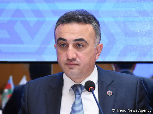 Анар Багиров: Следует узаконить юридическую помощь как за физическое, так и моральное насилие