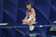 В столице Азербайджана проходят чемпионат и первенство Баку по прыжкам на батуте и тамблингу (ФОТО)
