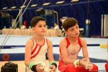В Баку стартовали соревнования по спортивной и акробатической гимнастике (ФОТО)