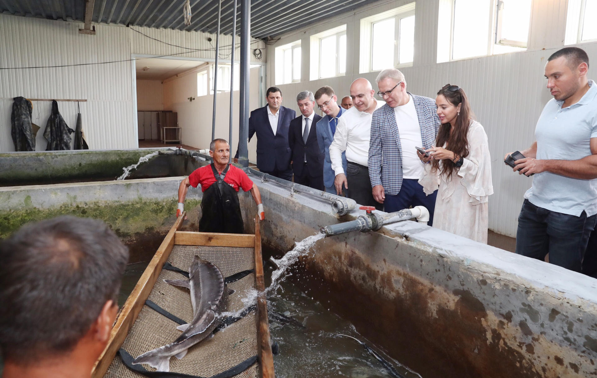 Вице-президент Фонда Гейдара Алиева Лейла Алиева приняла участие в церемонии выпуска в Каспий мальков осетровых, выращенных на Хыллинском заводе по разведению рыбы в Нефтчале (ФОТО)